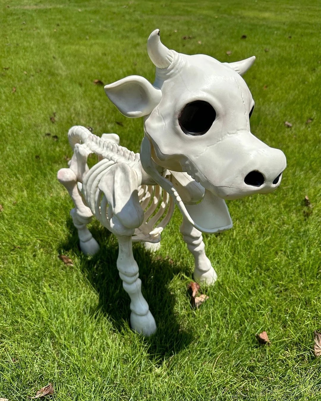 🔥 Cow & Horse Skeleton Halloween Decorative Prop