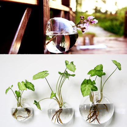 Hot Selling Now 🔥🔥Glass Oblate Globe Plants Containers Wall Mount Clear Flower Vase