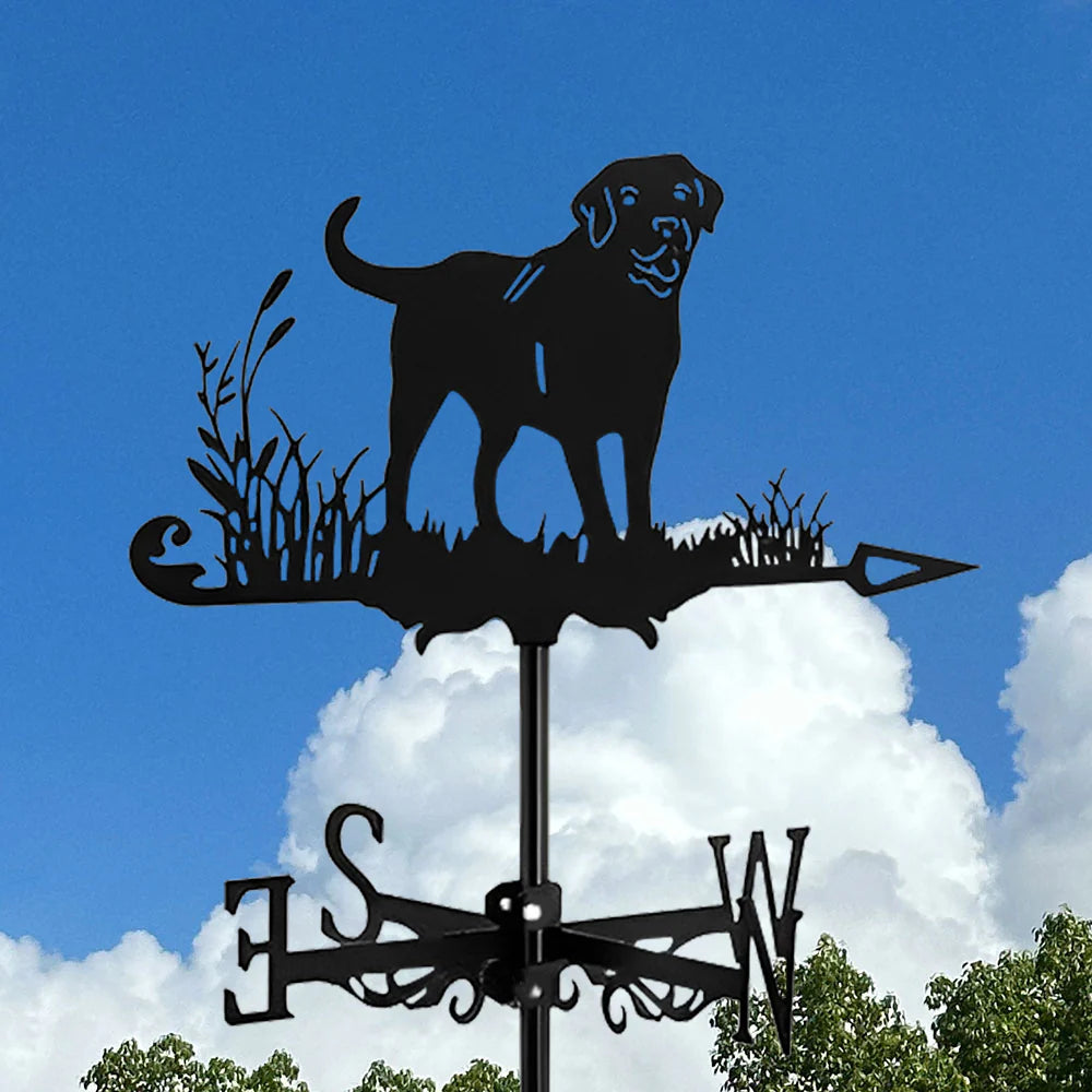 Creative stainless steel weather vane