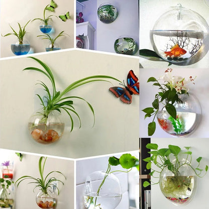 Hot Selling Now 🔥🔥Glass Oblate Globe Plants Containers Wall Mount Clear Flower Vase