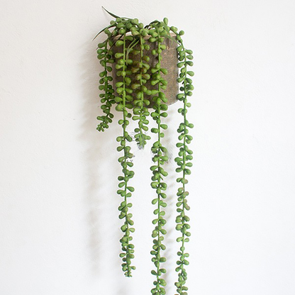 French Moss Wall Hanging Plant Decoration