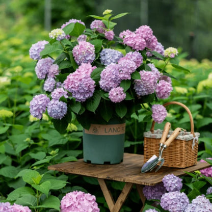 Last Day 73% OFF💐Outdoor Artificial Hydrangea Flowers