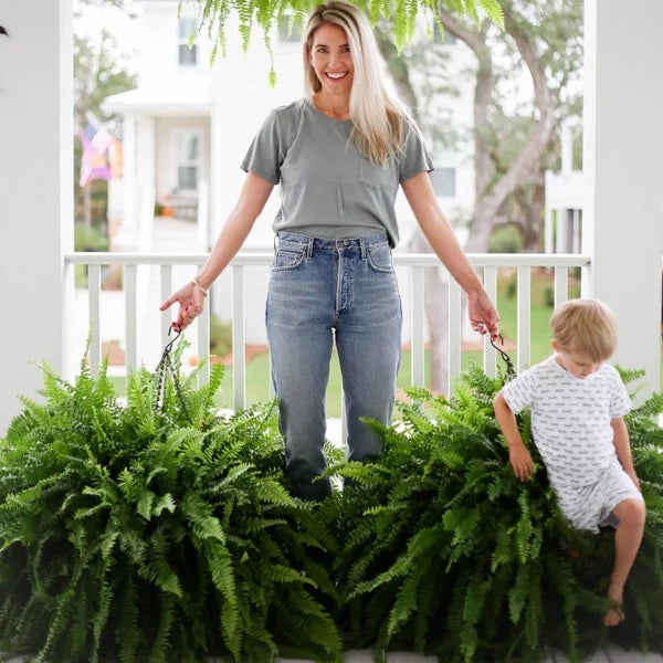 💥Last Day Sale $19.99 🌱UV Resistant Lifelike Artificial Boston Fern