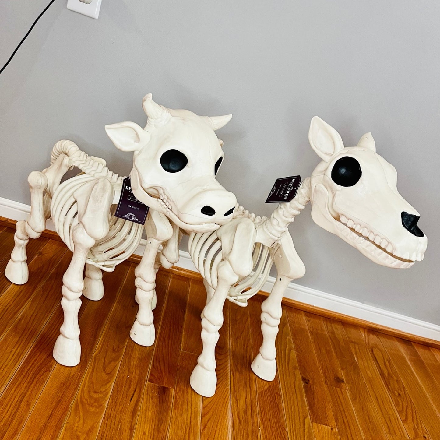 🔥 Cow & Horse Skeleton Halloween Decorative Prop