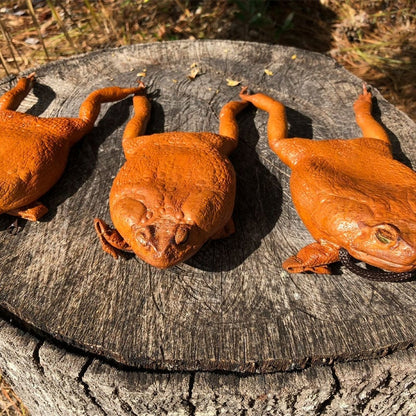 Sugar Cane Toad Full-body Funny Coin Purse