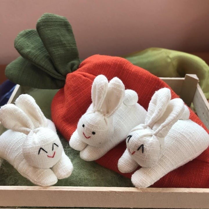 🎁 Hide-and-Seek Bunnies in Carrot Pouch