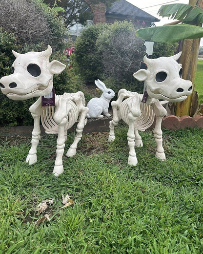 🔥 Cow & Horse Skeleton Halloween Decorative Prop