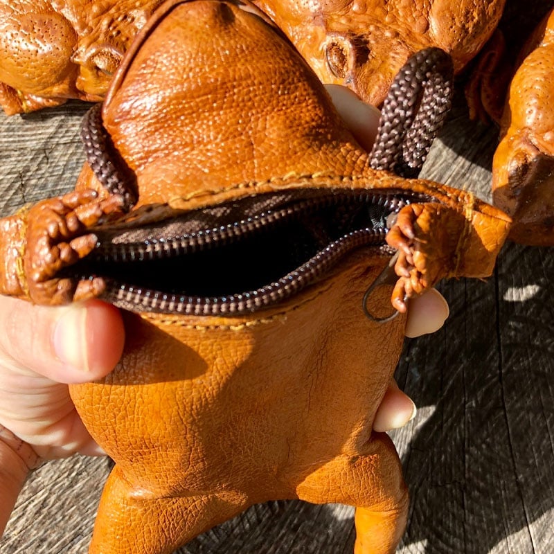 Sugar Cane Toad Full-body Funny Coin Purse