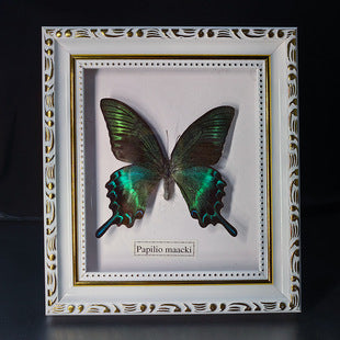 Butterfly crafts teaching collection decorations swallowtail butterfly three-dimensional ornaments