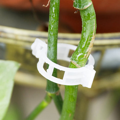 Plant Support Clips(100PCS)