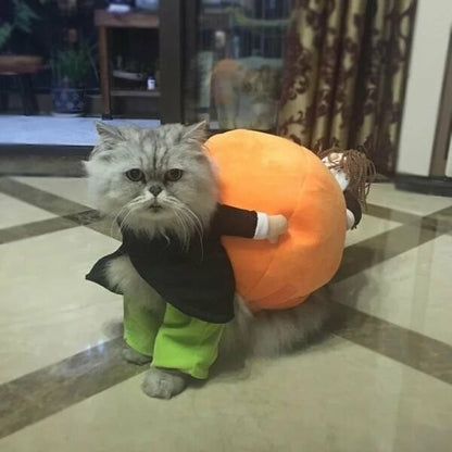 (🎃Early-Halloween Hot Sale) Dog & Cat Halloween Costumes