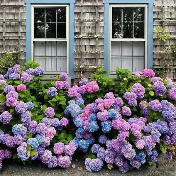 Last Day 73% OFF💐Outdoor Artificial Hydrangea Flowers