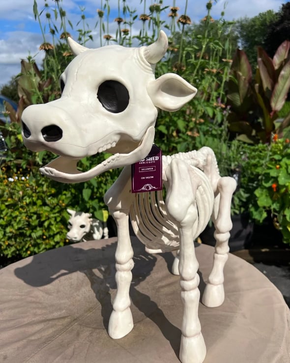 🔥 Cow & Horse Skeleton Halloween Decorative Prop