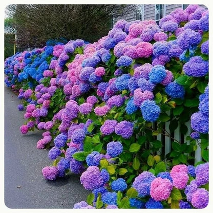 Last Day 73% OFF💐Outdoor Artificial Hydrangea Flowers