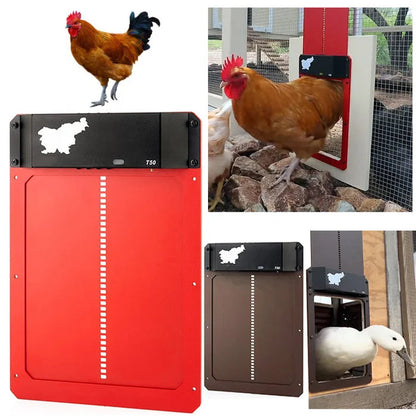 🎉Automatic Chicken Coop Door