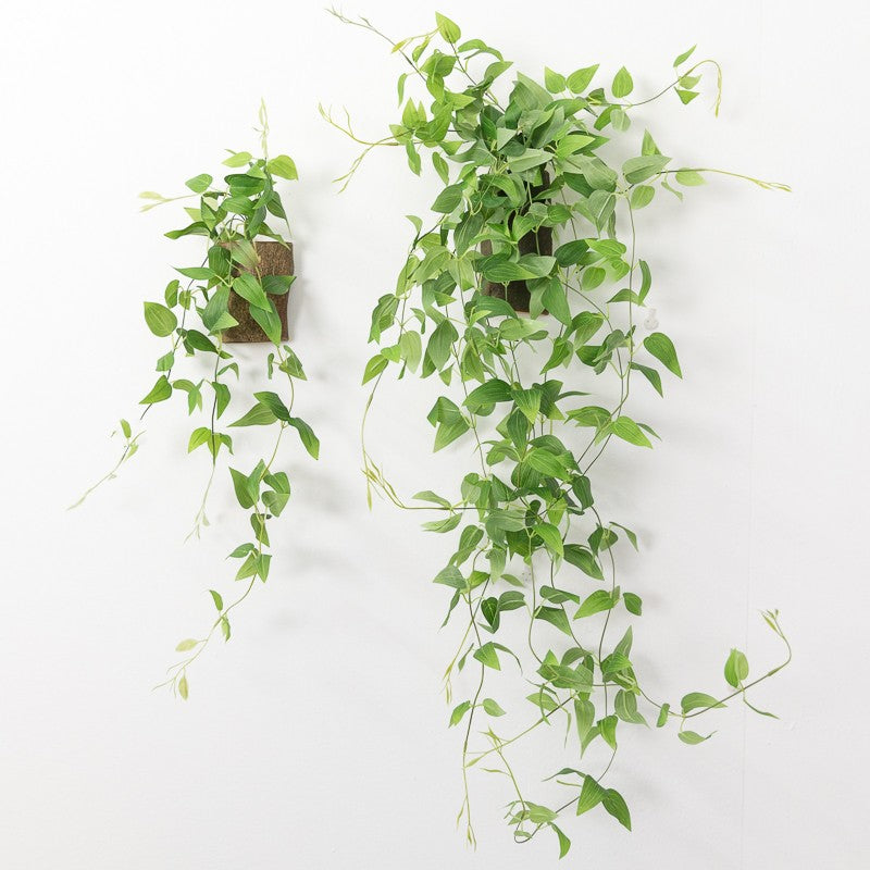 French Moss Wall Hanging Plant Decoration