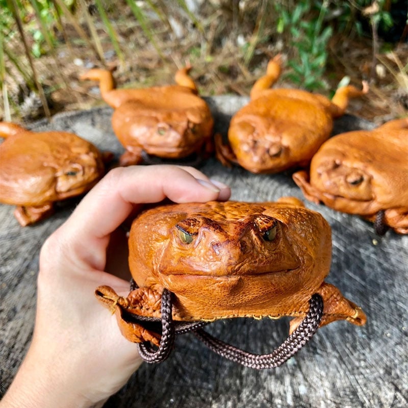 Sugar Cane Toad Full-body Funny Coin Purse