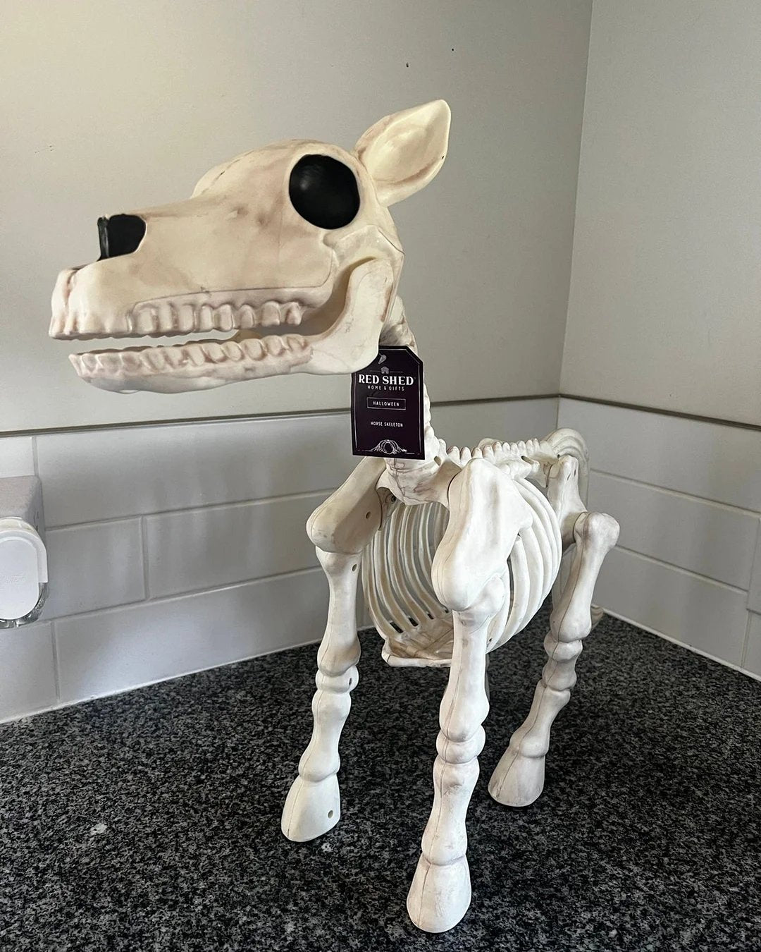 🔥 Cow & Horse Skeleton Halloween Decorative Prop