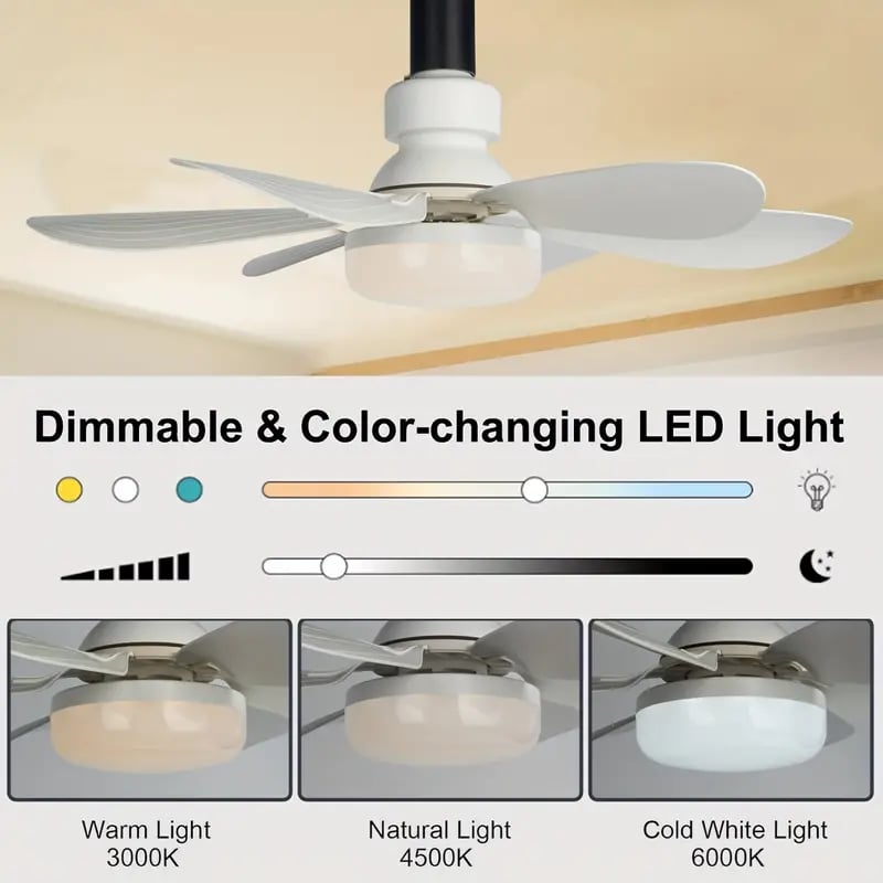 2024 New 2-IN-1 PORTABLE CEILING FAN & LIGHT with Remote Control